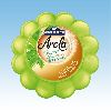 Gelový osvěžovač koule Zelený čaj 150g General Fresh